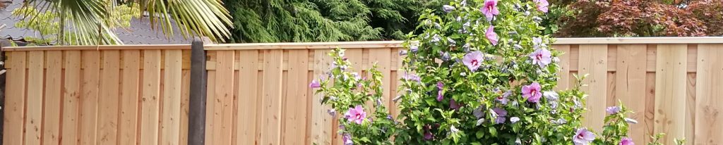 Douglas schutting in Woensel