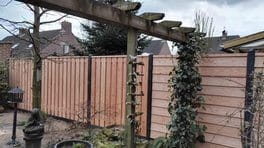 Douglas schutting in Leende